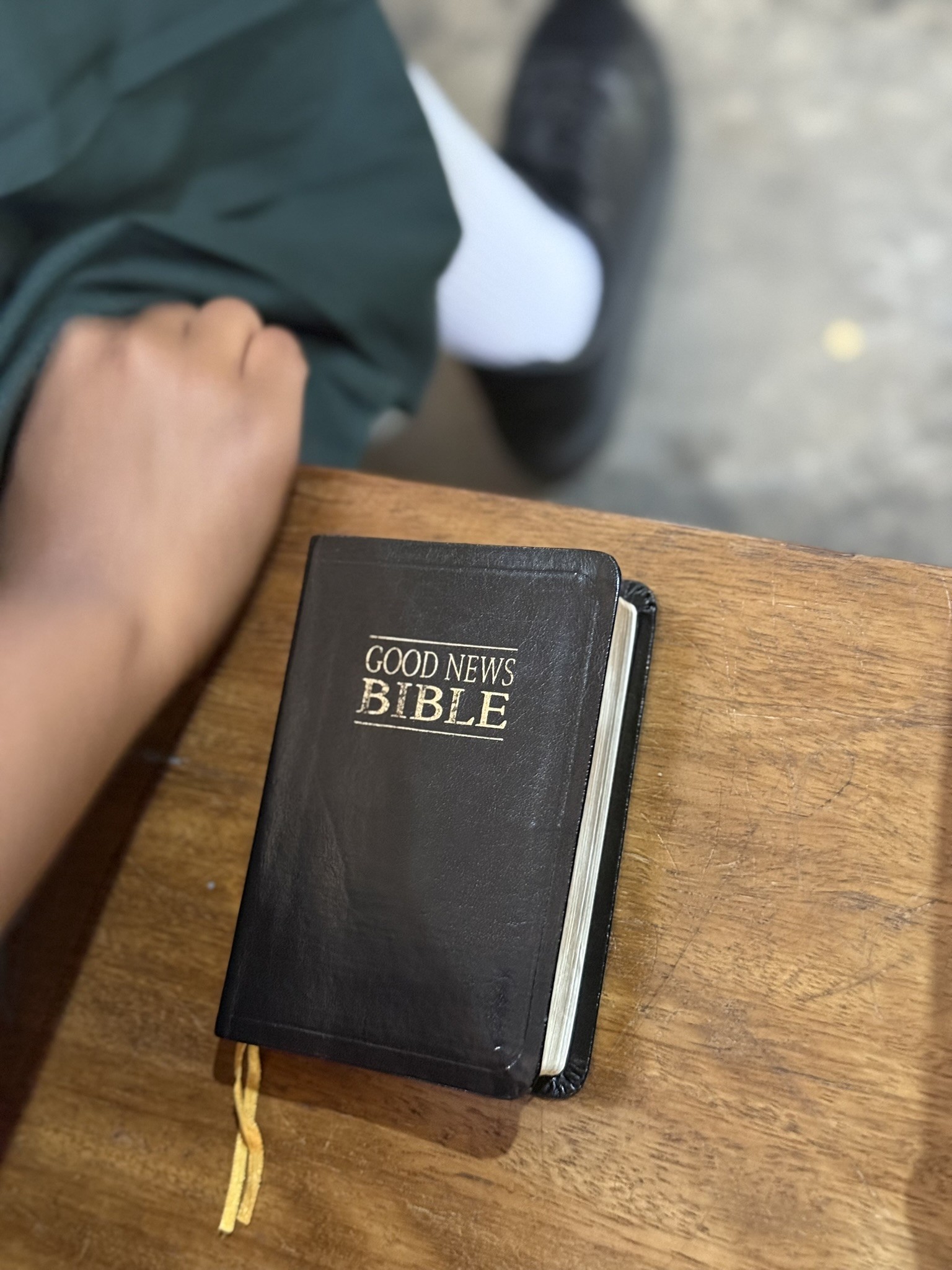 Student Bible