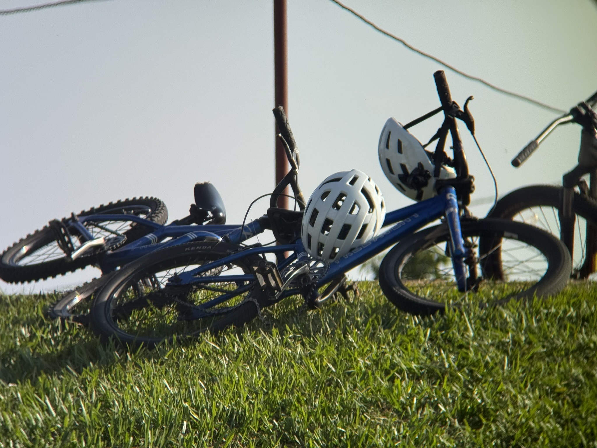 Bicycles Ready for Demonstration
