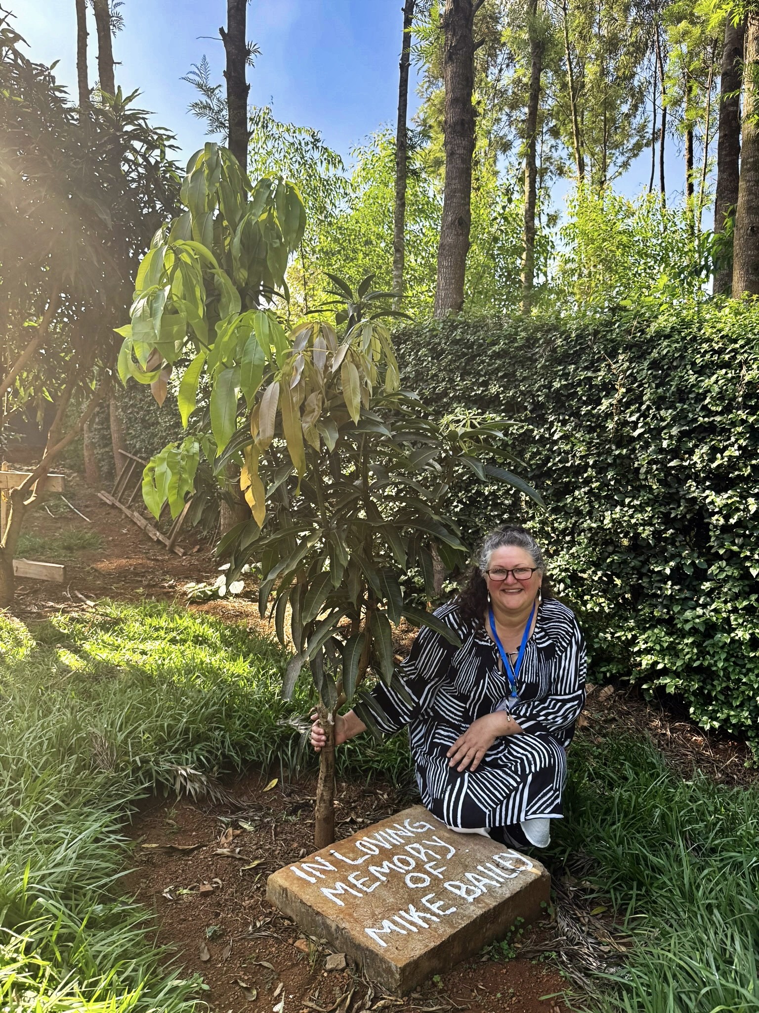 Mango tree planted in honor of Dad