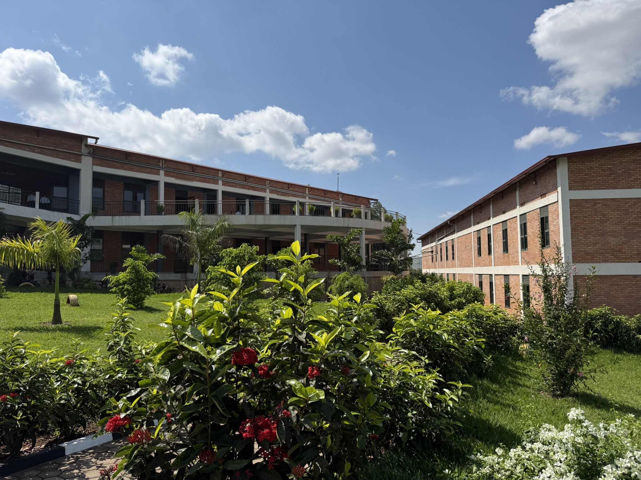 High School