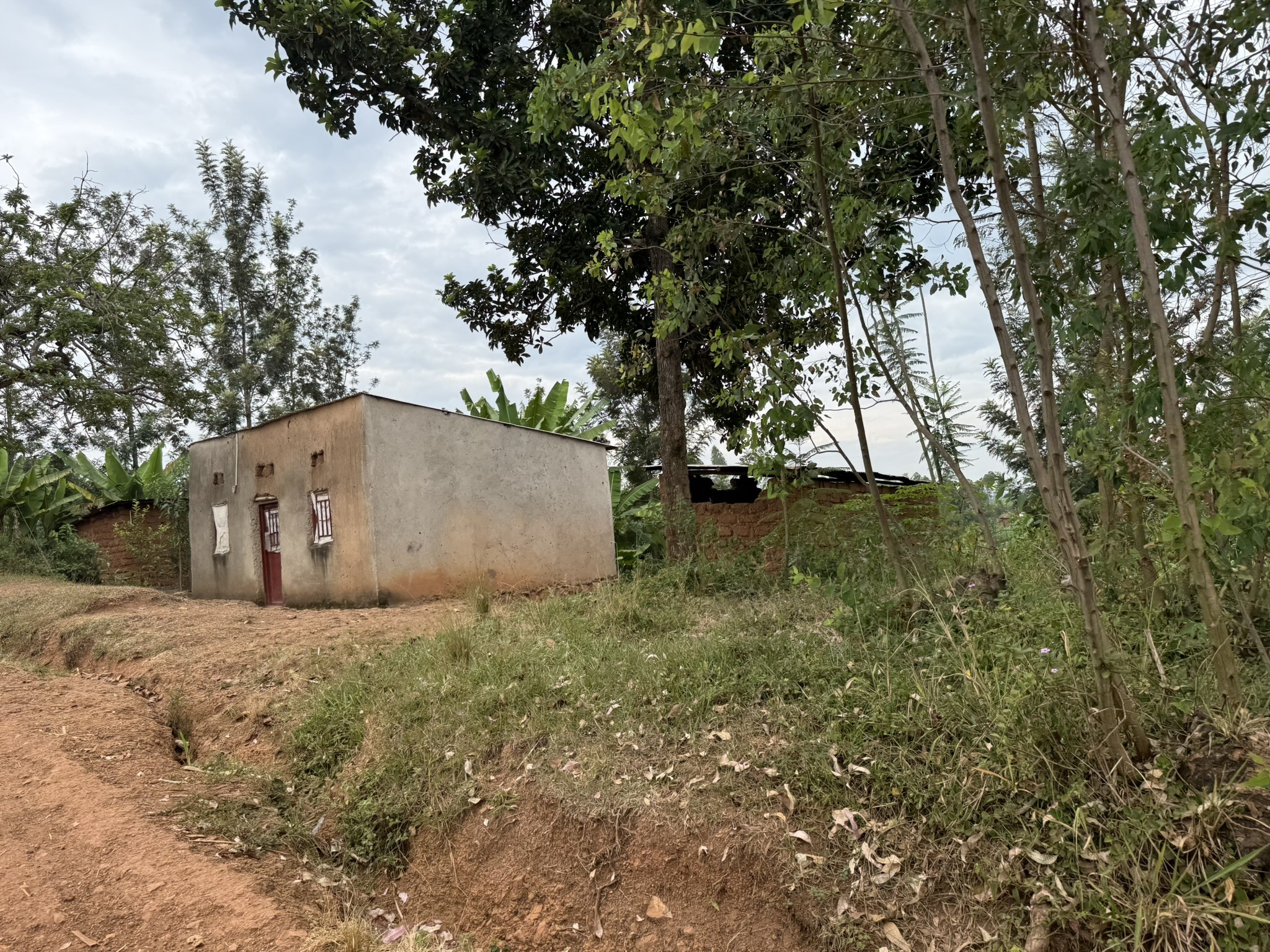 A Local House