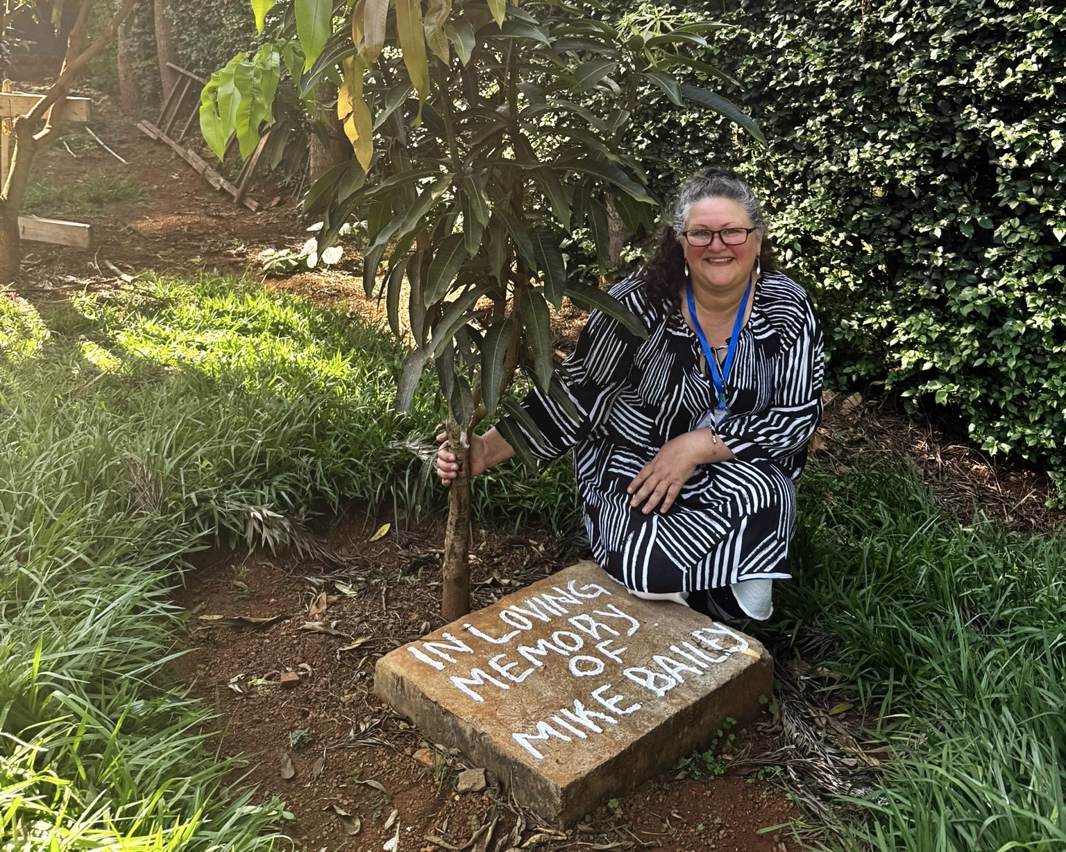 Dad's Mango Tree